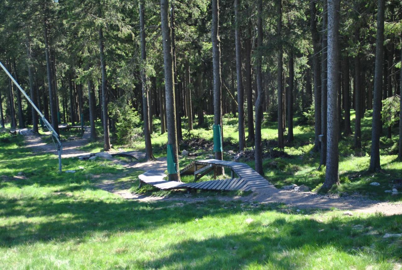 Апартаменты Harz-Rose Браунлаге Экстерьер фото