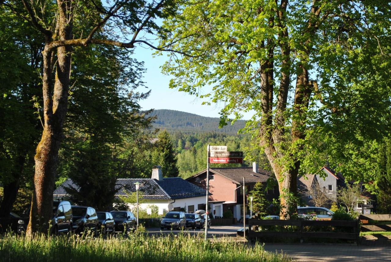 Апартаменты Harz-Rose Браунлаге Экстерьер фото