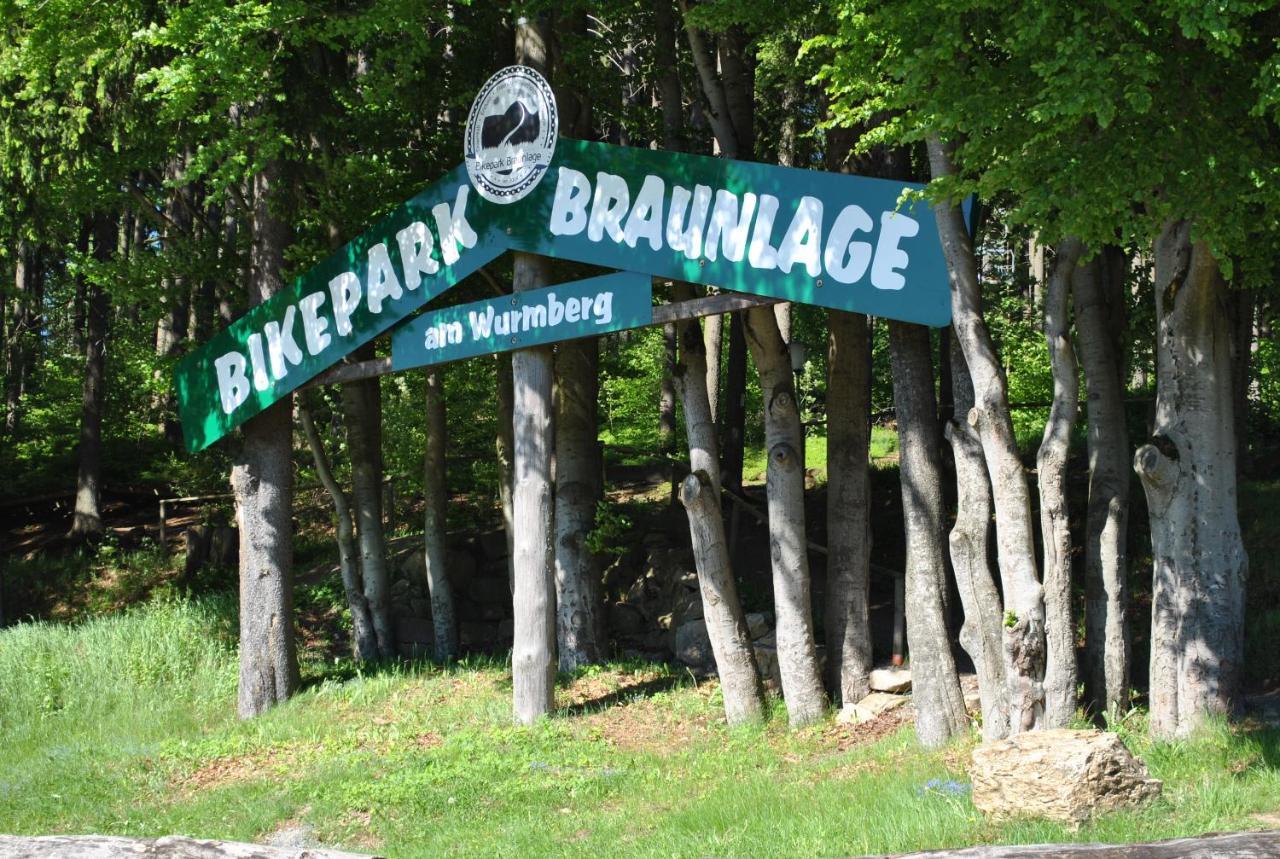 Апартаменты Harz-Rose Браунлаге Экстерьер фото