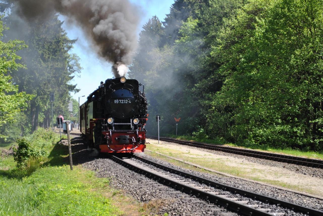 Апартаменты Harz-Rose Браунлаге Экстерьер фото